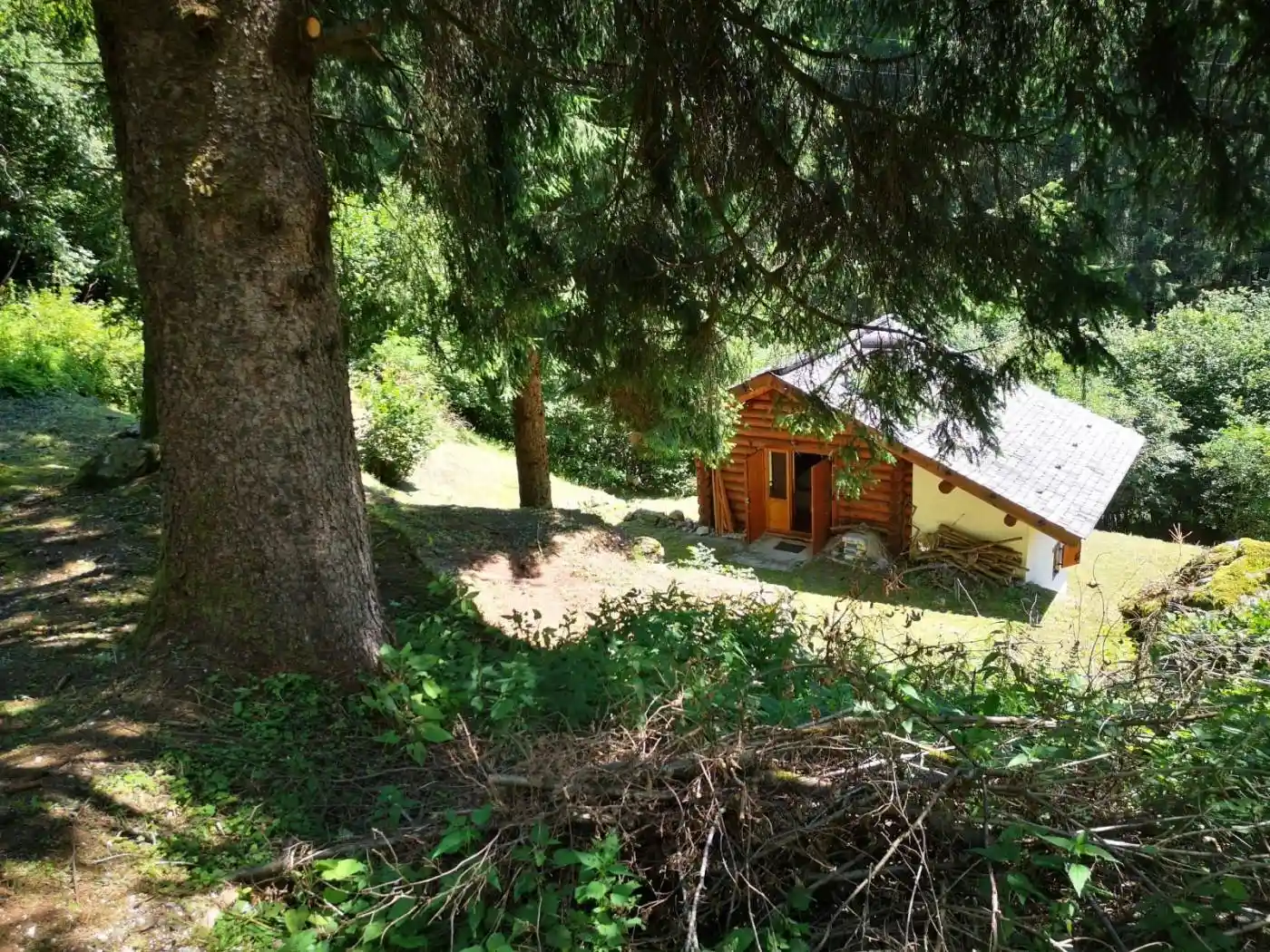 Rustico - Casale in vendita a Primiero San Martino di Castrozza