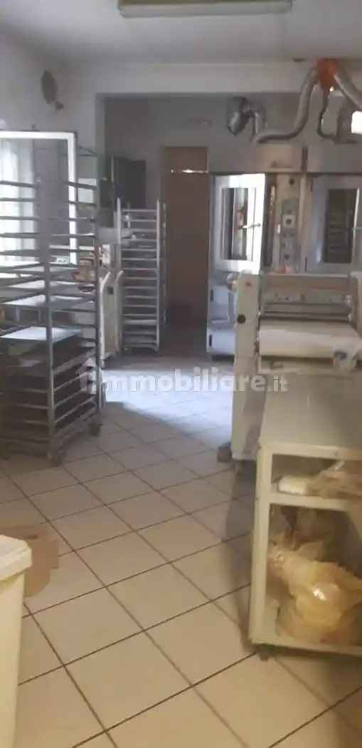 Villa in vendita a Viadana