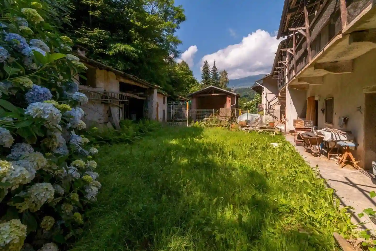 Rustico - Casale - foto 4