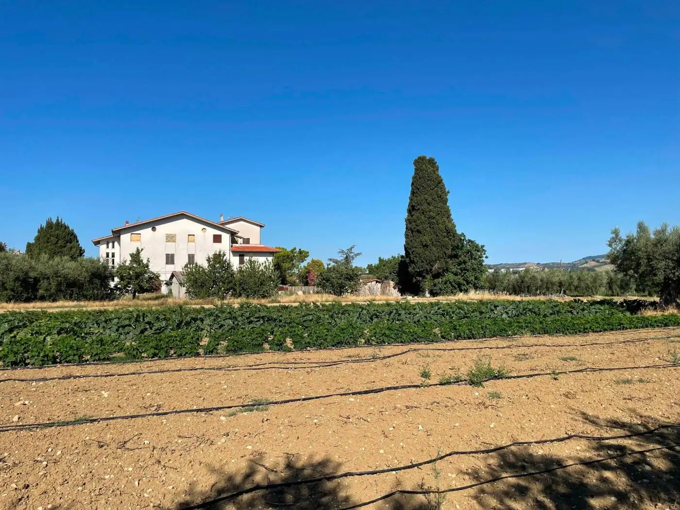 Rustico - Casale in vendita a Notaresco