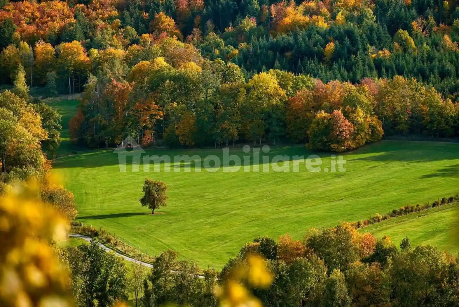 Rustico - Casale in vendita a Barberino di Mugello