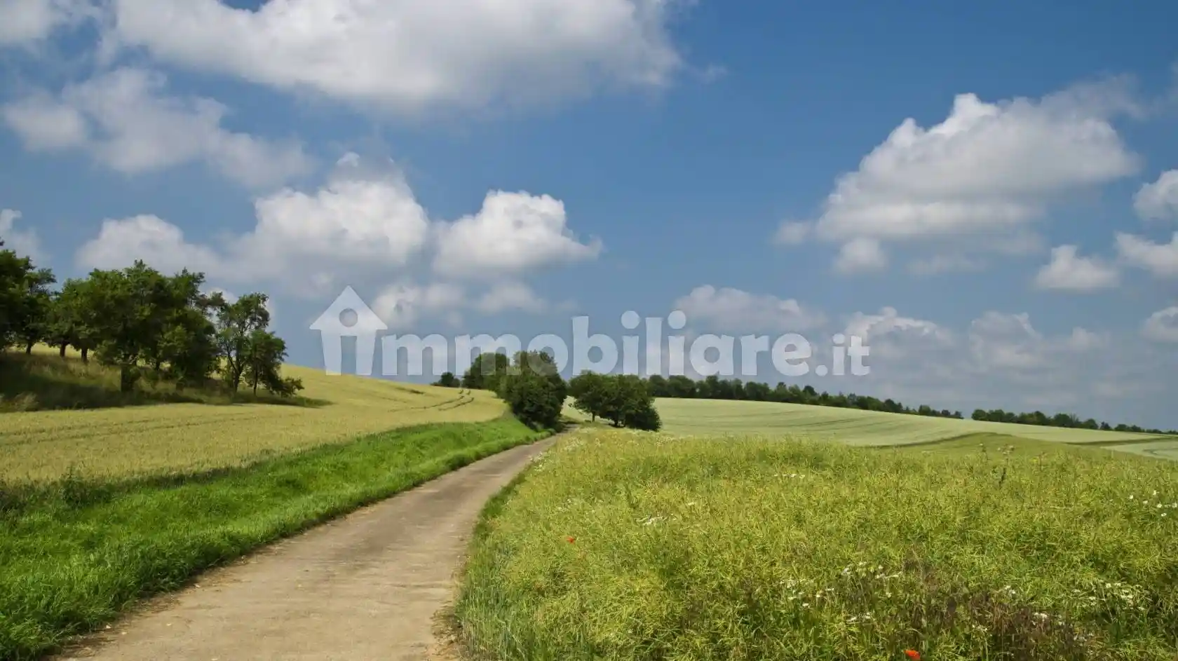Rustico - Casale in vendita a Barberino di Mugello