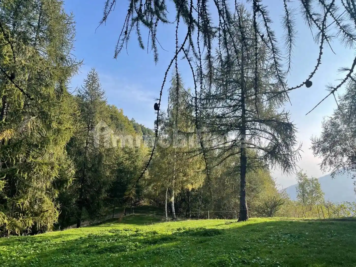 Villa unifamiliare frazione Pinet San C., Centro, Aisone - foto 3