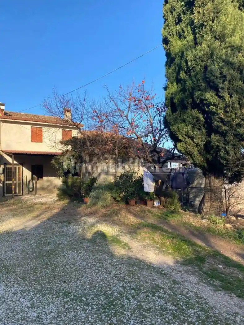 Rustico - Casale in vendita a Sossano