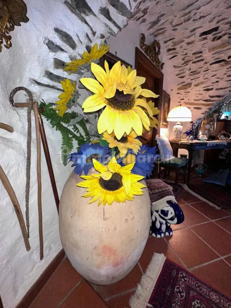 Rustico - Casale in vendita a Chiusanico