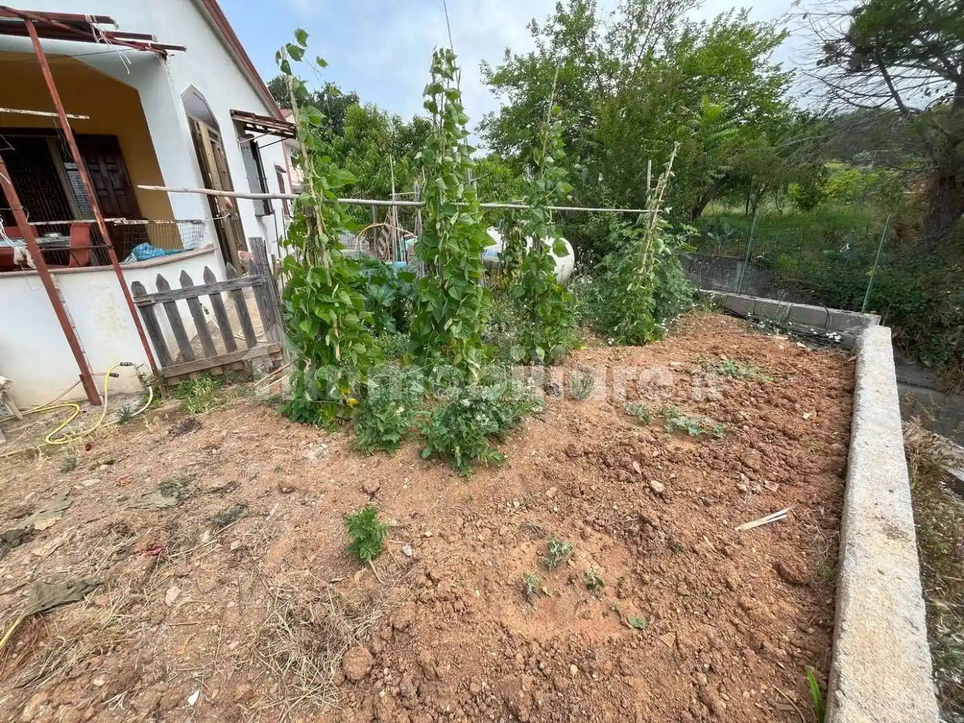 Quadrilocale Vrasi, Maierà - foto 4