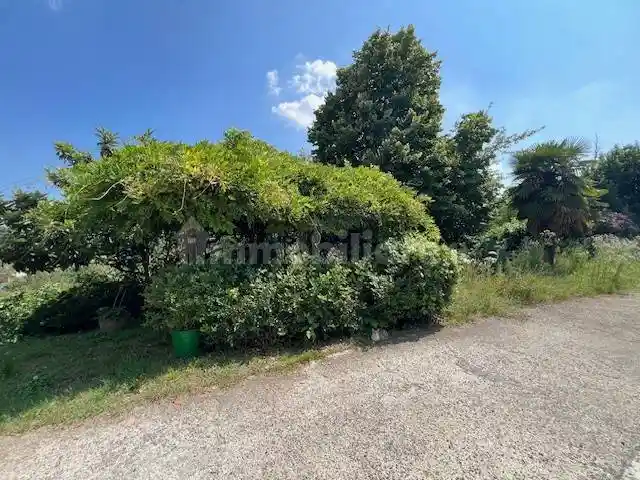 Cascina via Madonna, Madonna D'Olmetto, Cossombrato - foto 4