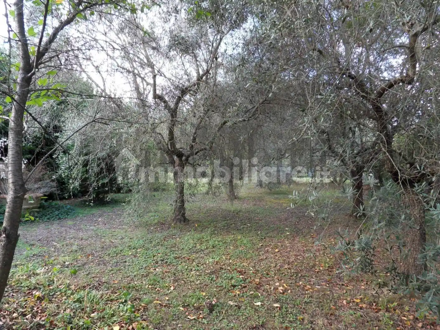 Villa in vendita a Lucca