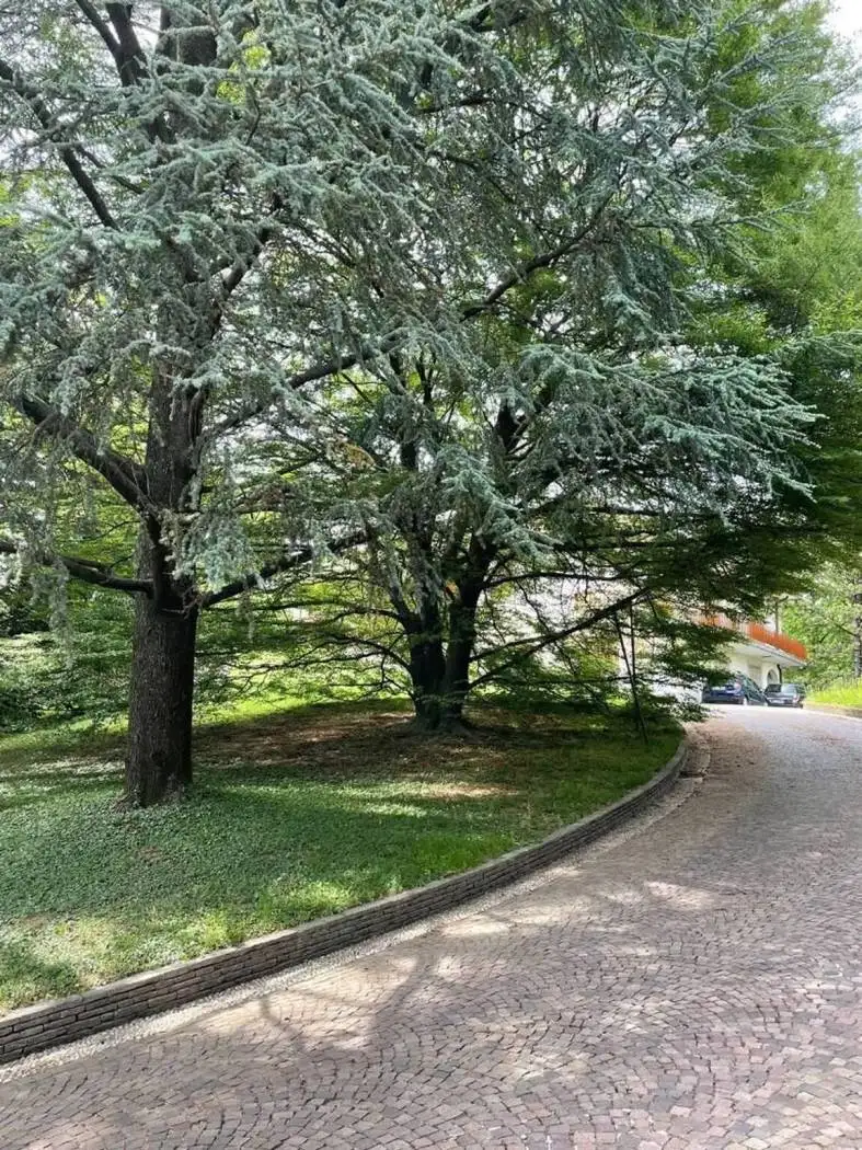 Villa in vendita a Bulciago