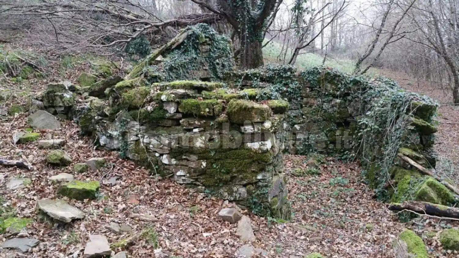 Rustico - Casale in vendita a Santa Fiora