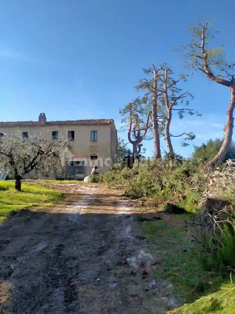 Rustico - Casale - foto 5