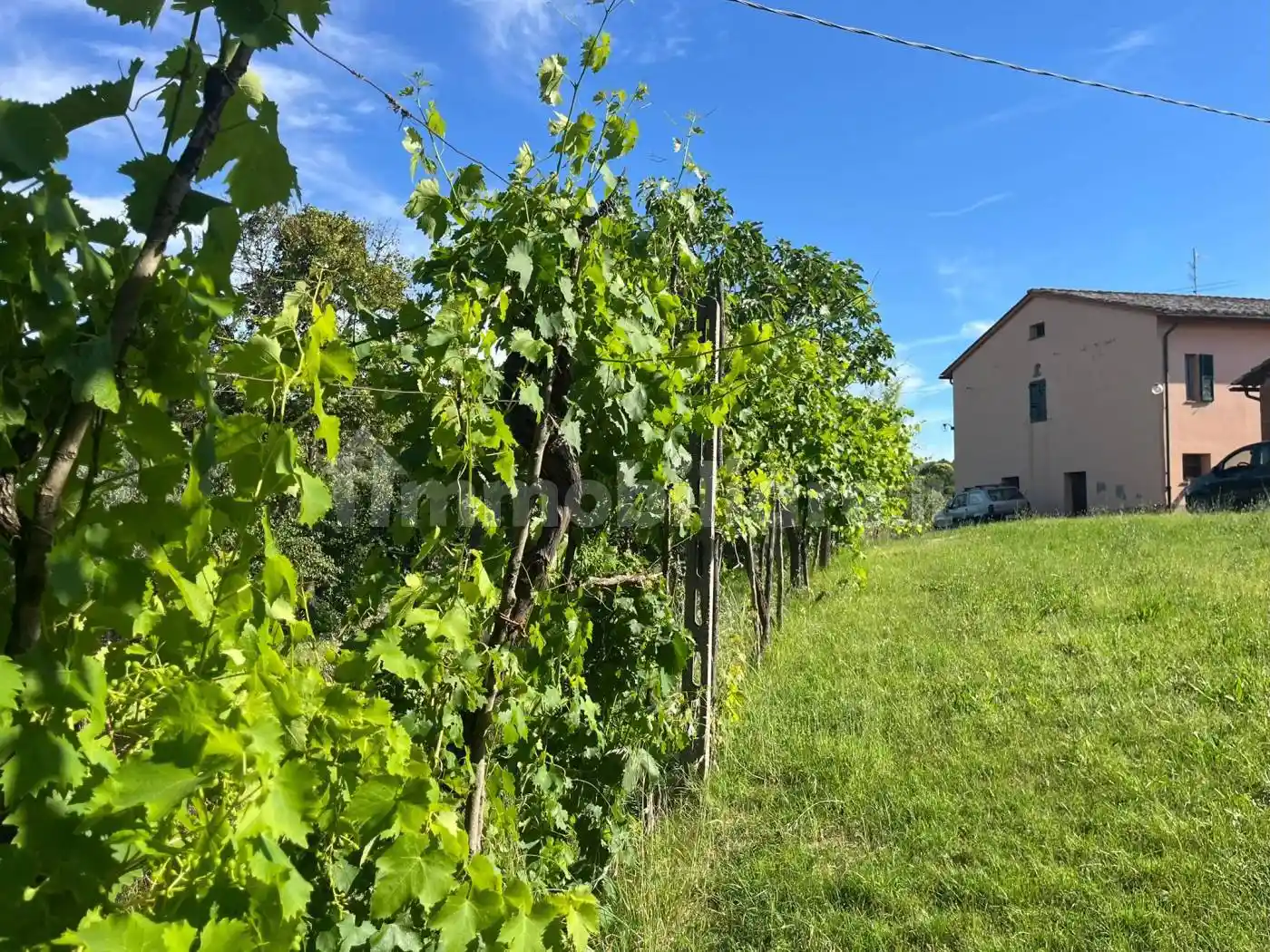 Rustico - Casale in vendita a Paciano