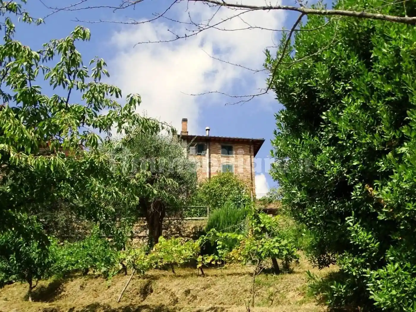 Villa in vendita a Montopoli in Val d'Arno