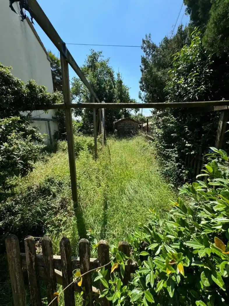 Rustico via Colli 36, Pieve del Grappa - foto 5