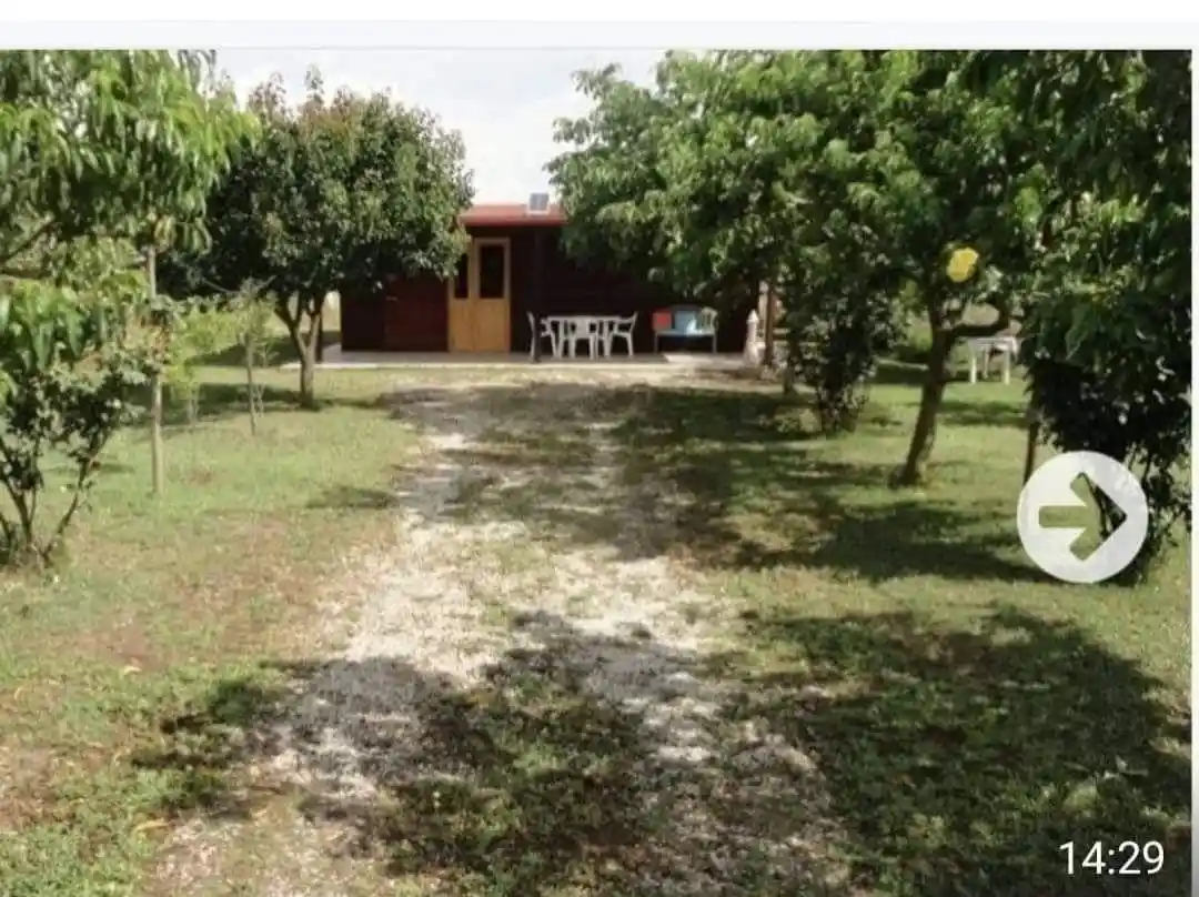 Appartamento in vendita a Foggia