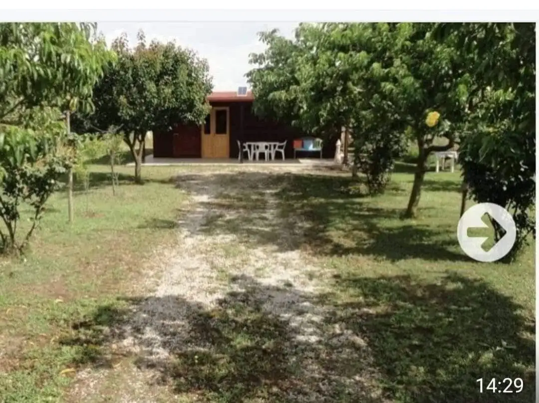 Appartamento in vendita a Foggia