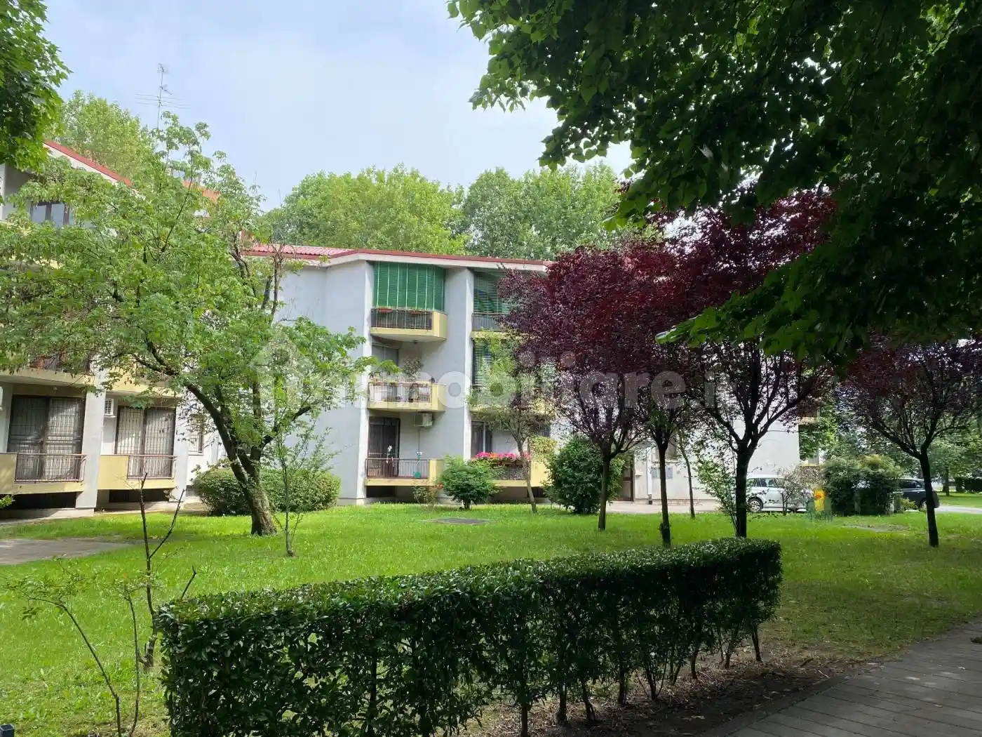 Appartamento in affitto a San Donato Milanese