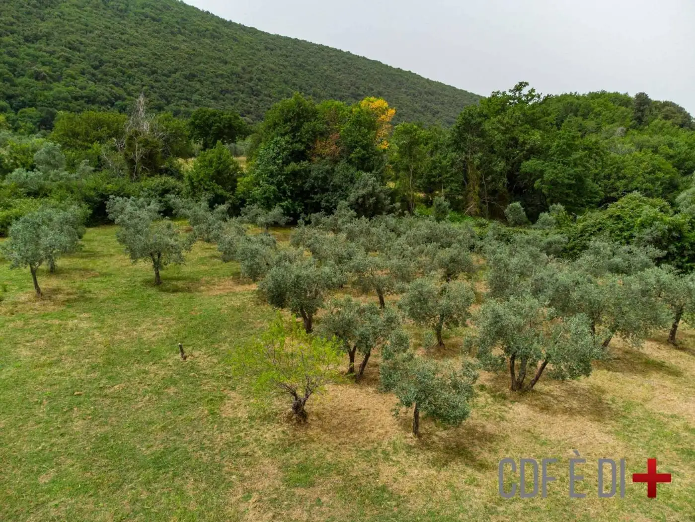 Rustico - Casale in vendita a Toffia