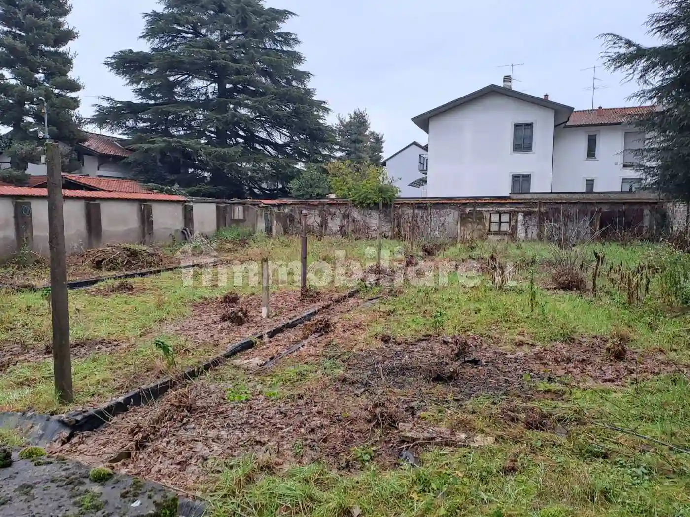 Palazzo - Edificio - foto 4