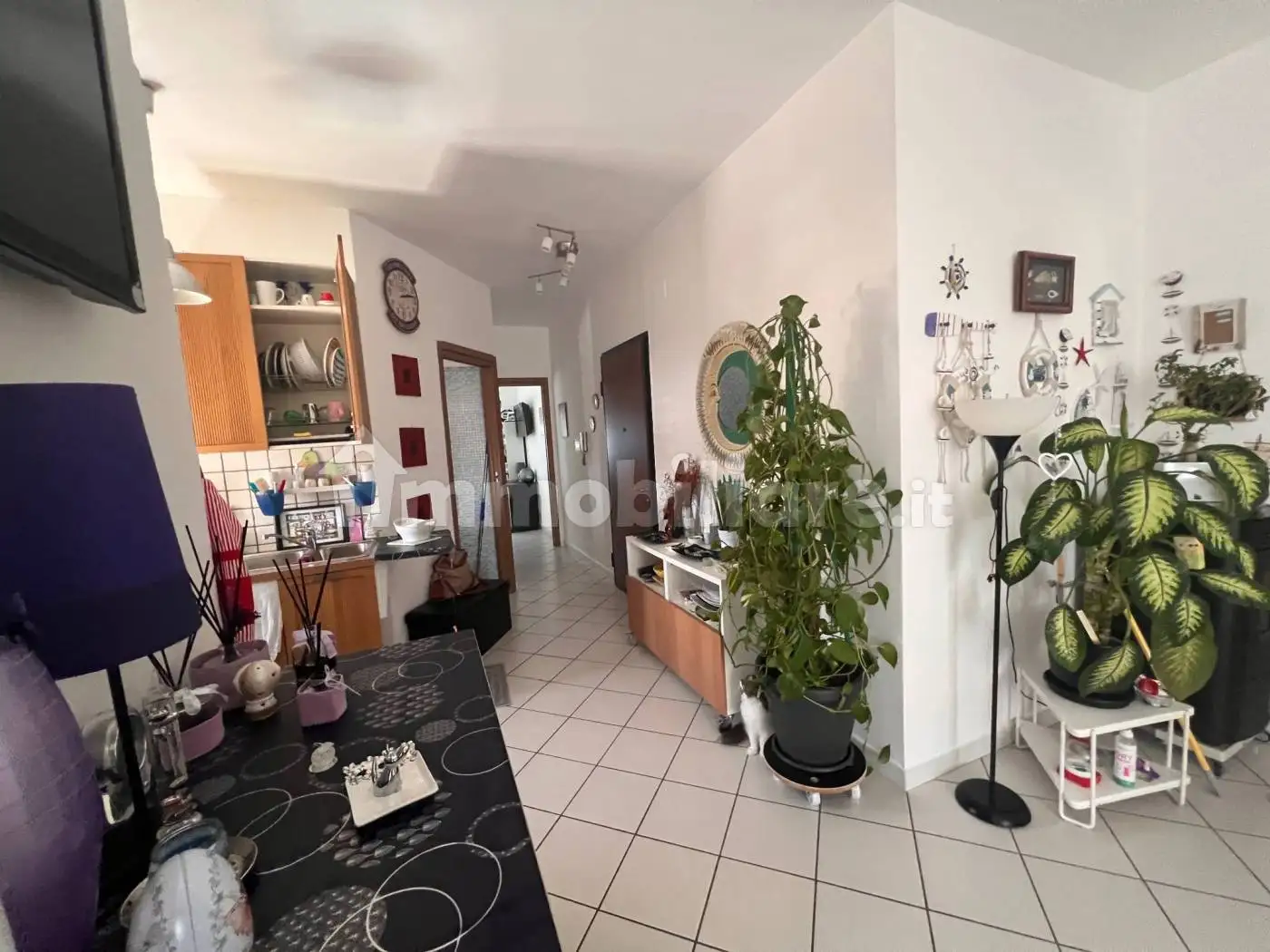 Appartamento in vendita a Centola