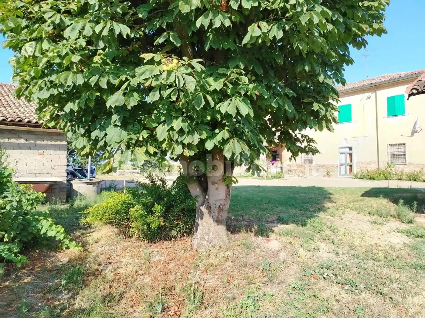 Rustico - Casale in vendita a Sant'Agata sul Santerno