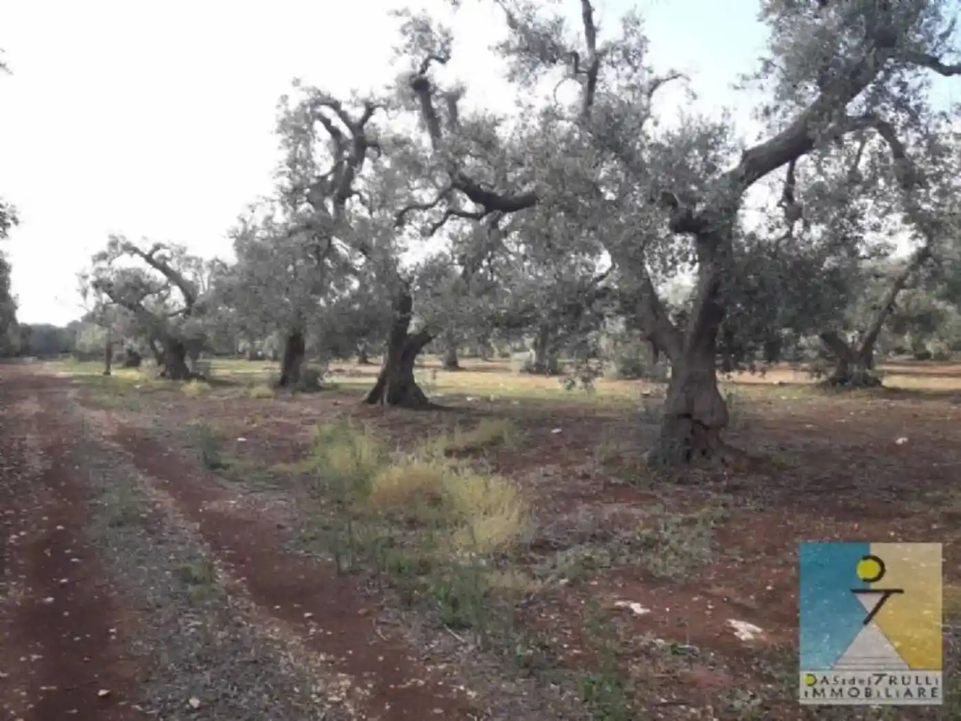 Rustico - Casale in vendita a San Michele Salentino