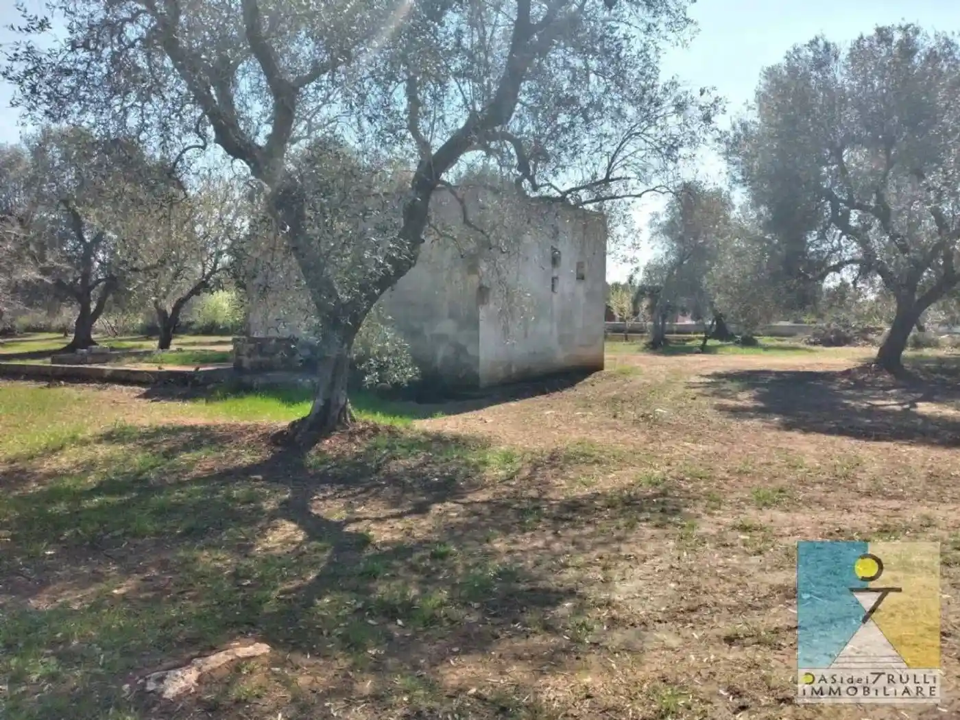 Rustico - Casale in vendita a San Vito dei Normanni