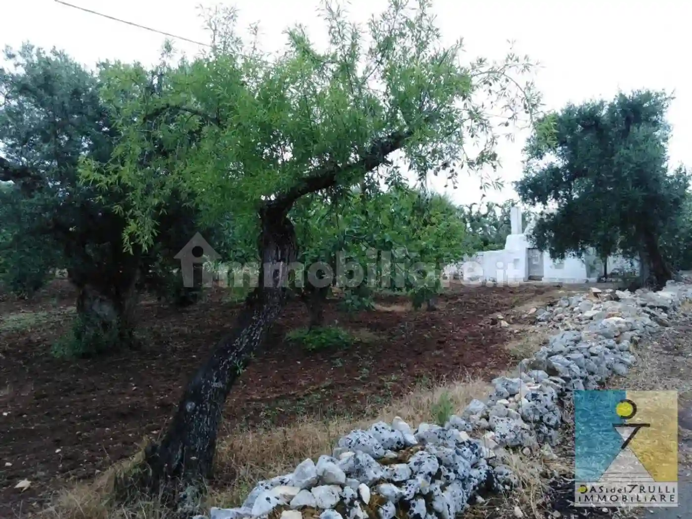 Rustico - Casale - foto 3