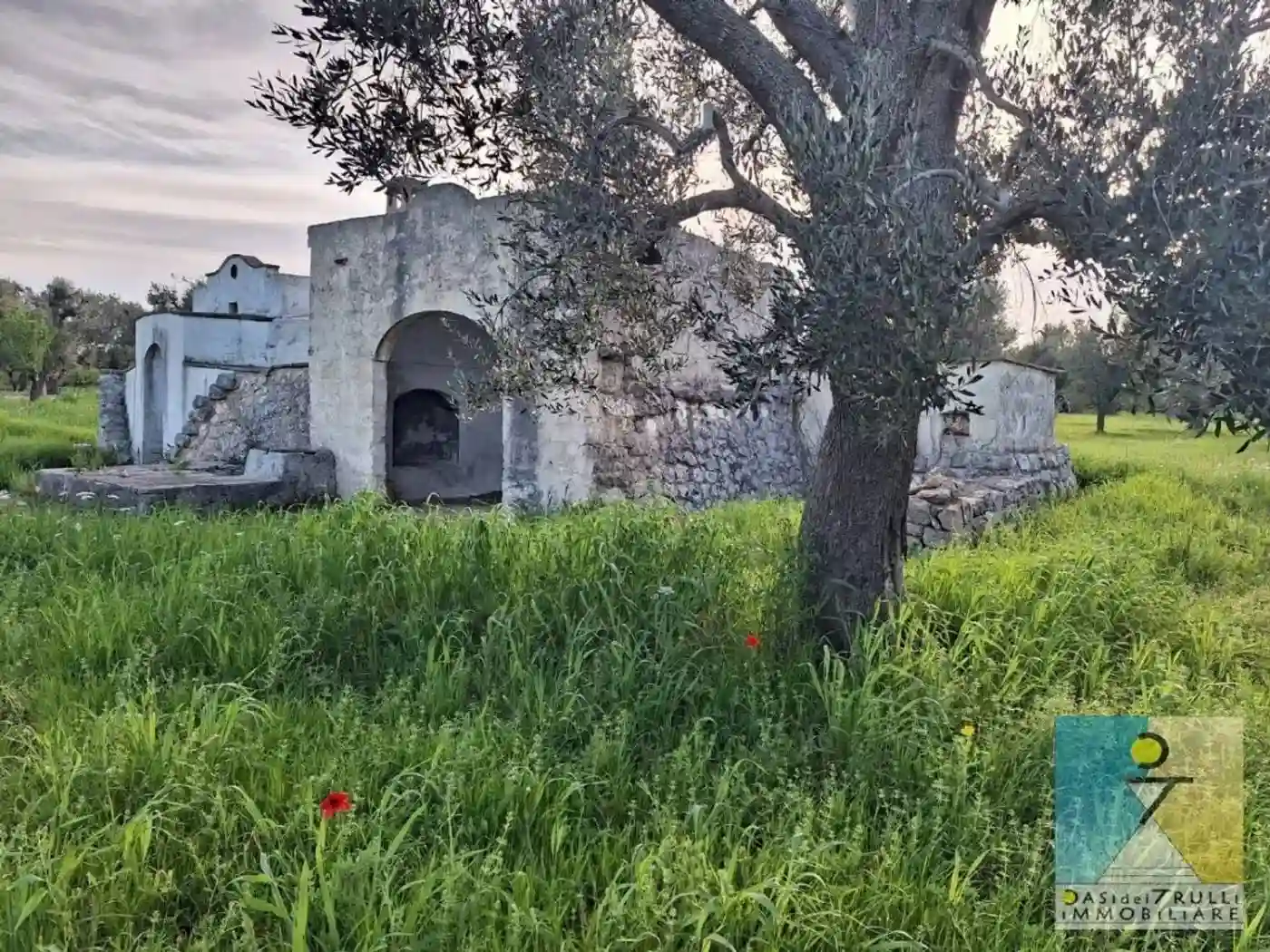 Rustico - Casale - foto 5