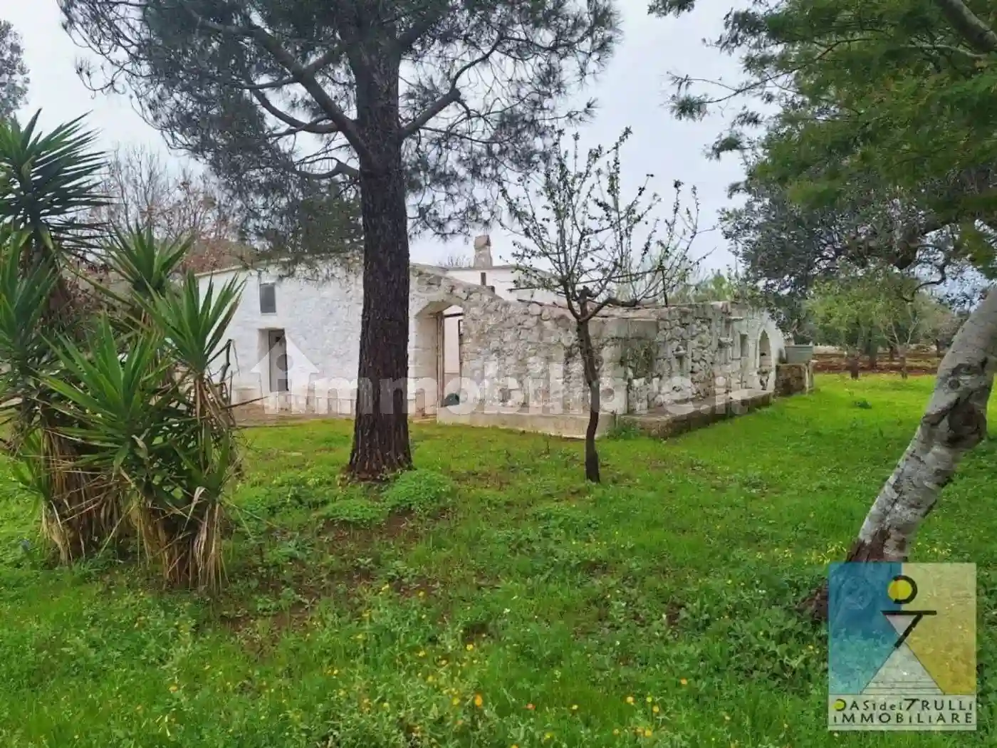 Rustico - Casale - foto 5