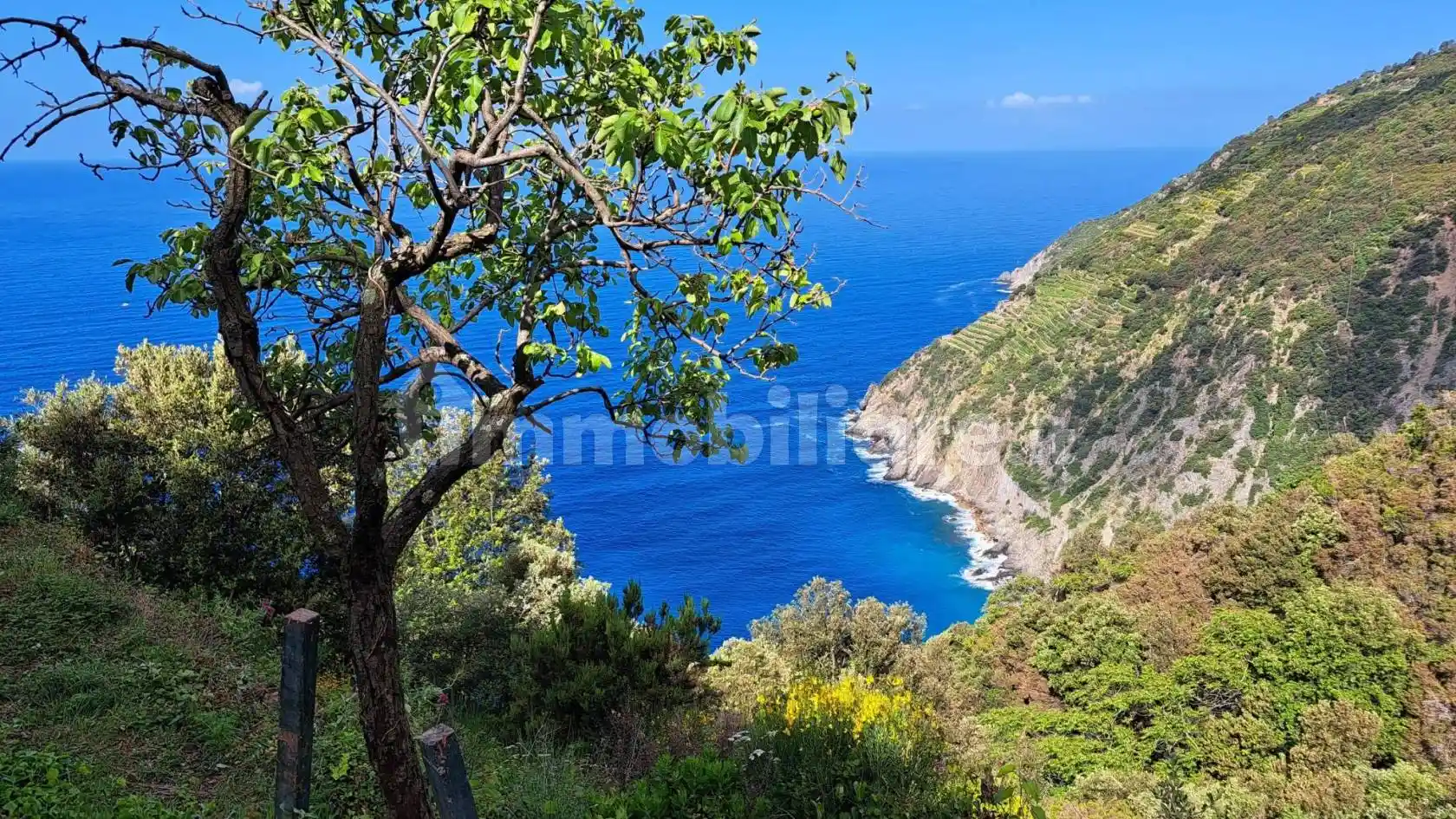 Rustico - Casale in vendita a Riomaggiore