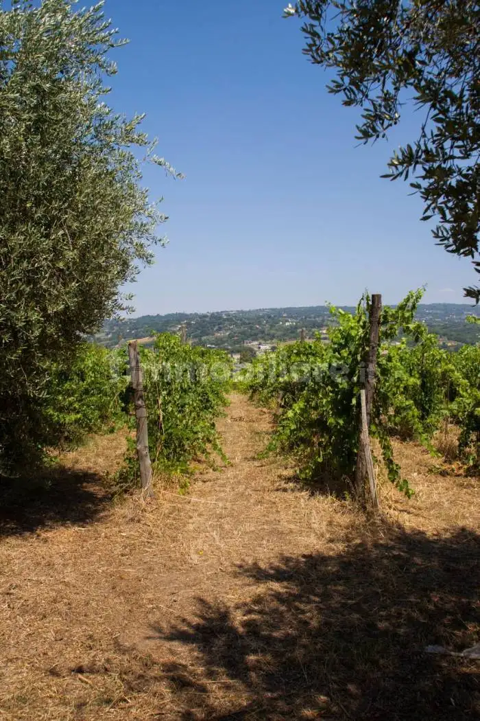 Villa in vendita a Taurasi