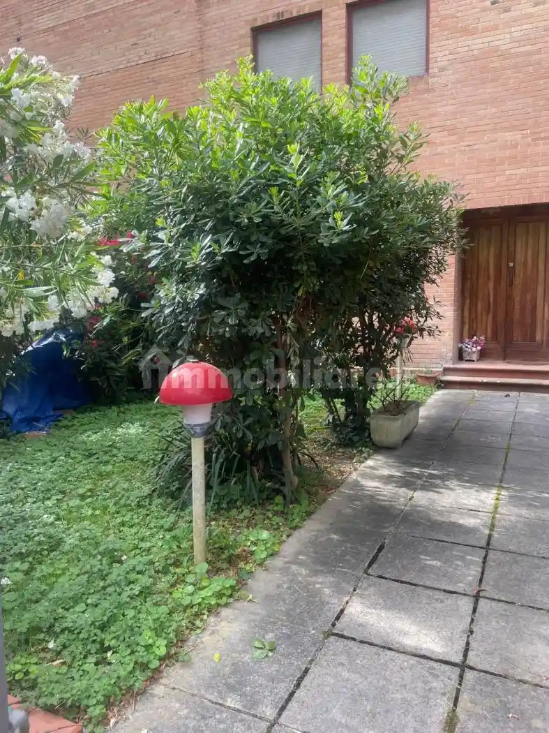 Appartamento in affitto a Pisa