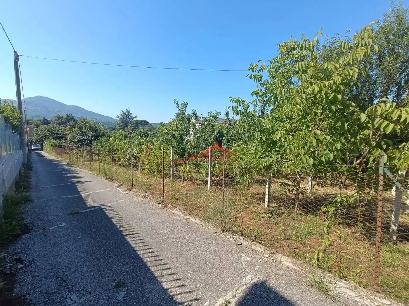 Rustico via Tuscolana, Molara, Grottaferrata - foto 2