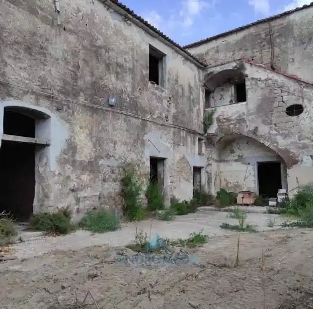 Palazzo - Edificio - foto 5