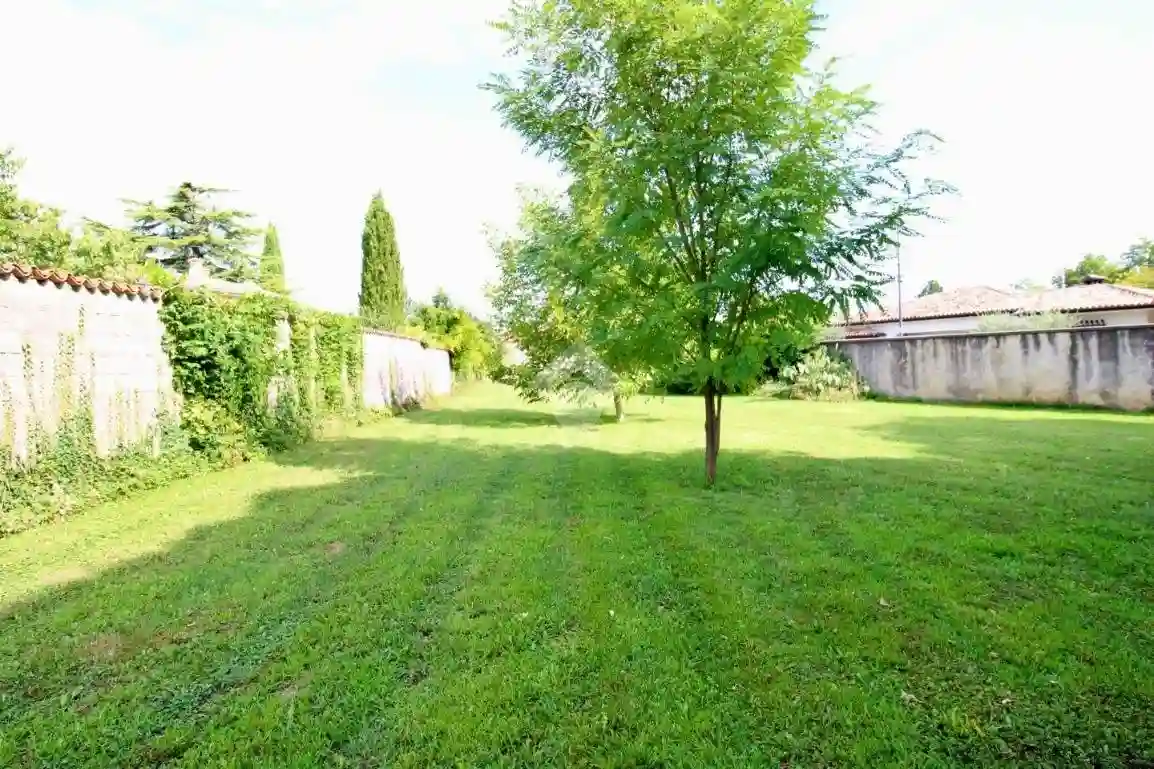 Immobile - foto 3