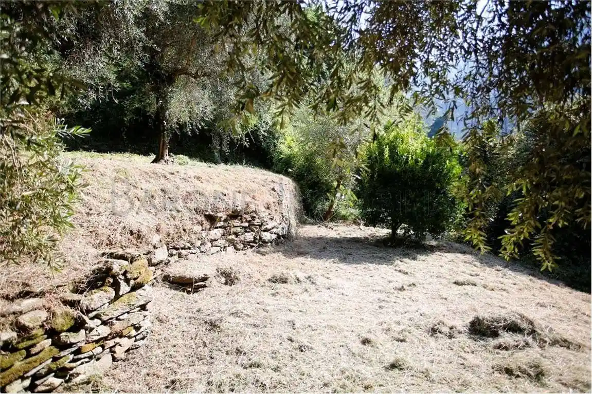 Casale via della resistenza, Zona Collinare Palatina, Montignoso - foto 3