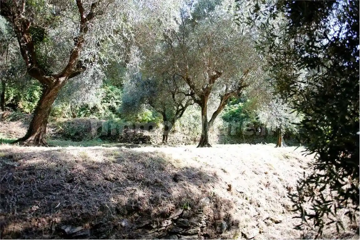 Casale via della resistenza, Zona Collinare Palatina, Montignoso - foto 5