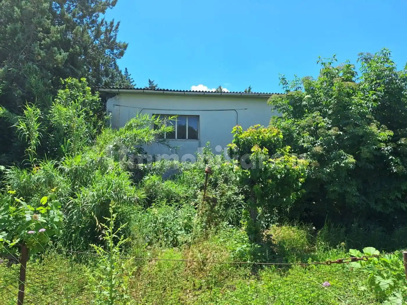 Palazzo - Edificio in Vendita - foto 3