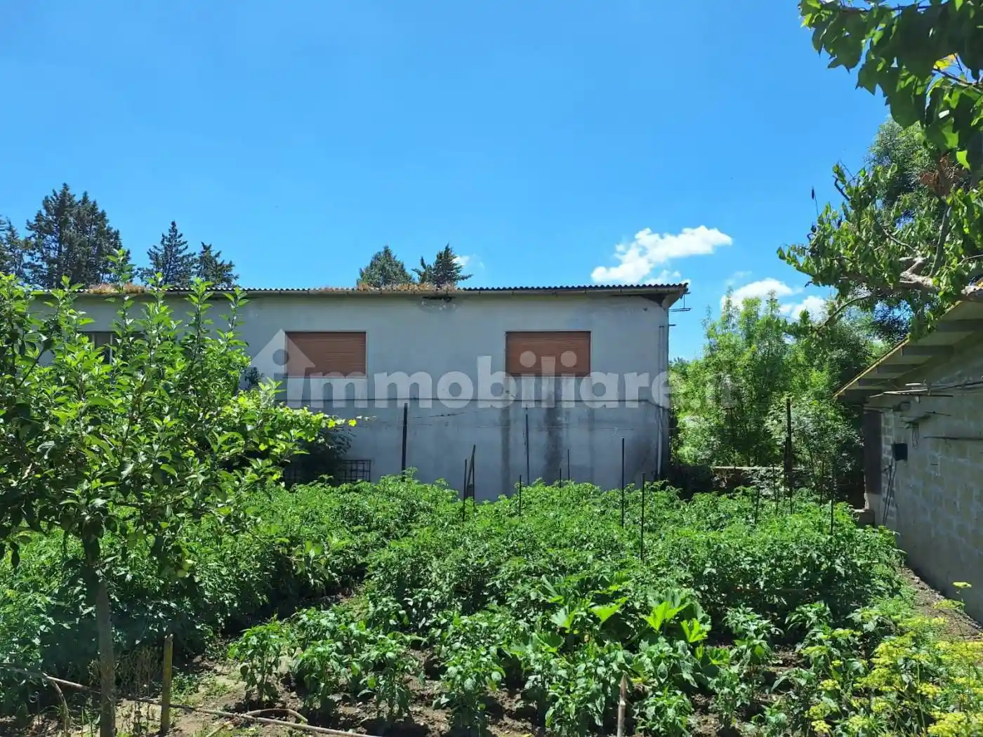 Palazzo - Edificio in Vendita - foto 4