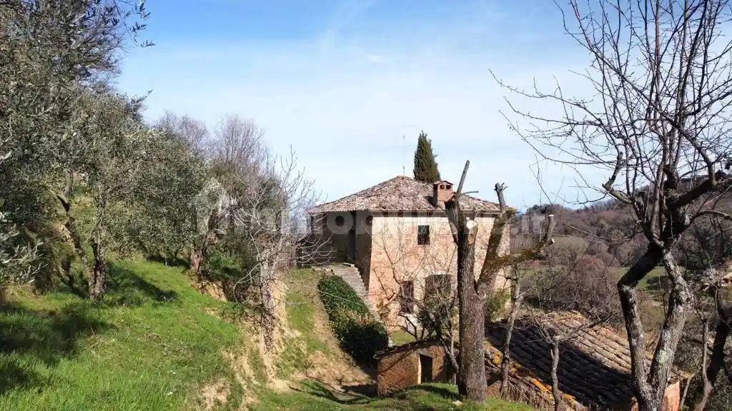 Rustico - Casale in vendita a Montepulciano