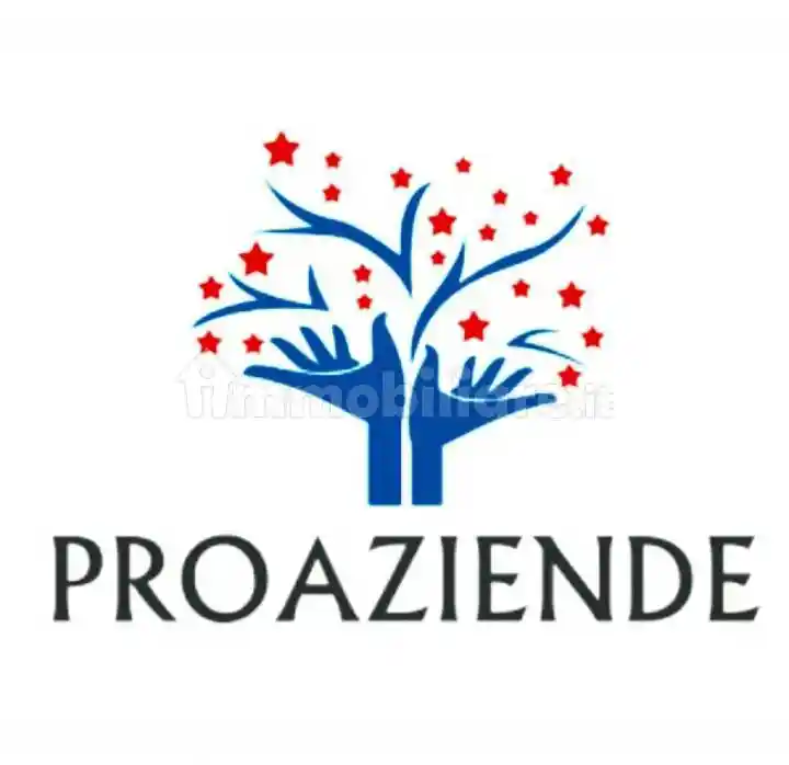 Palazzo - Edificio in vendita a Cortemaggiore