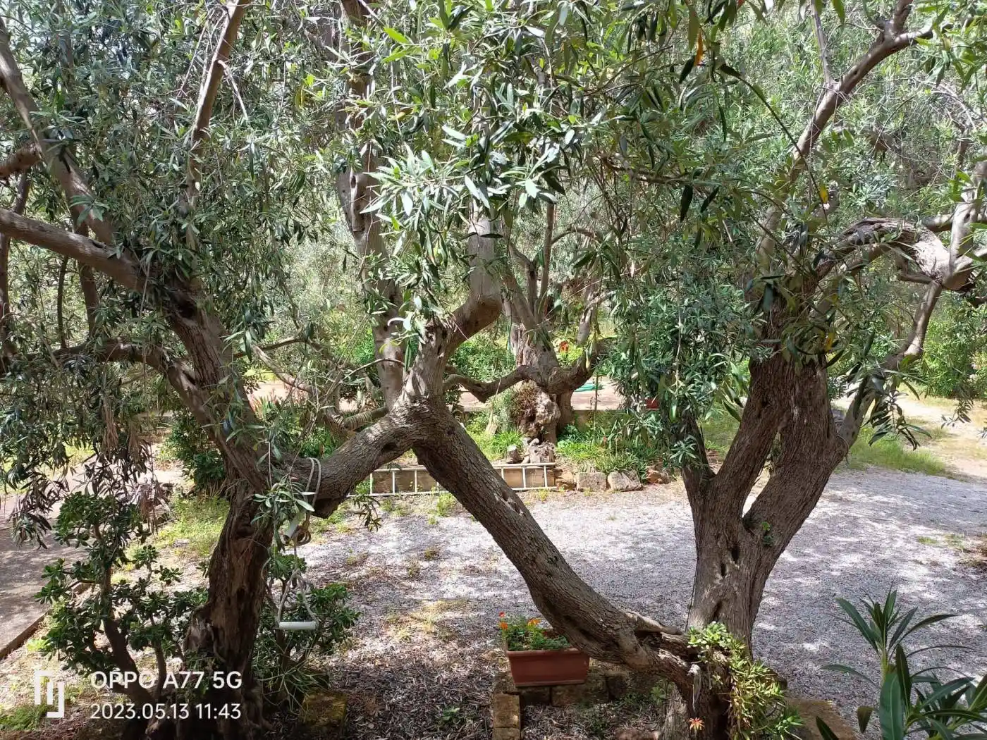 Appartamento in villa via Enrico Berlinguer 93, Torre Muzza, Carini - foto 4