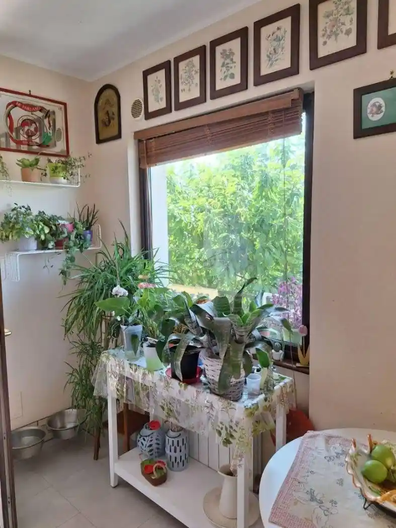 Villa a schiera via Alcide De Gasperi, Zumpano - foto 4