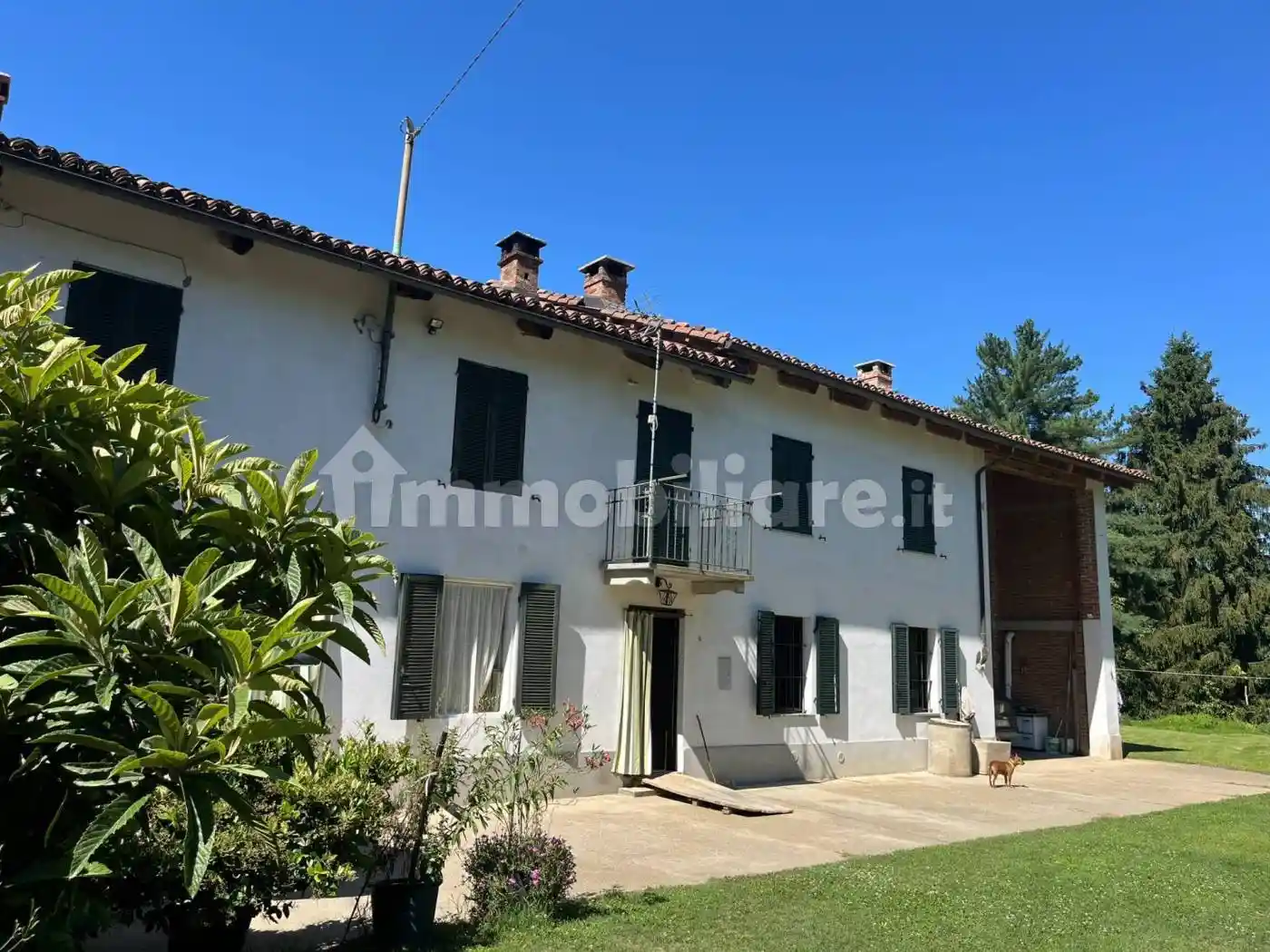 Rustico - Casale in vendita a Montafia