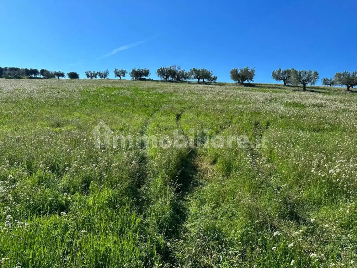 Casale Contrada Stampalone, Cellino Attanasio - foto 5