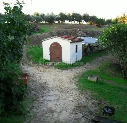 Rustico - Casale in vendita a Fauglia