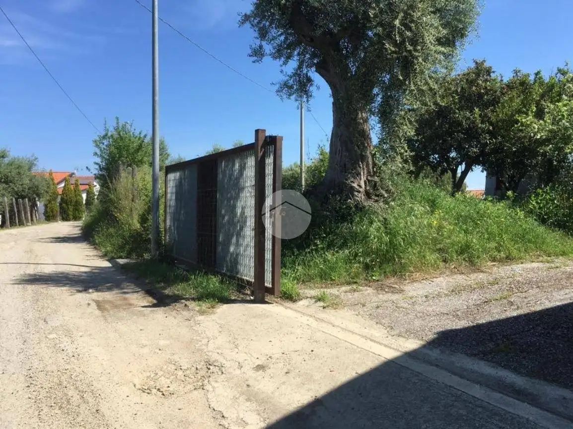 Appartamento in vendita a Briatico