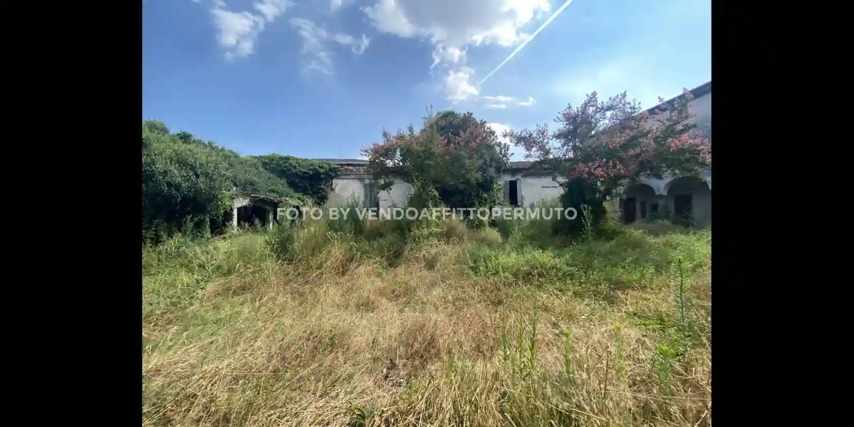 Palazzo - Edificio - foto 4