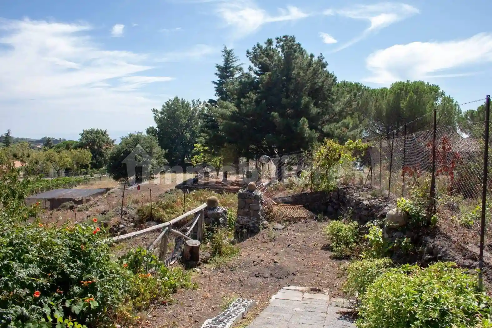 Palazzo - Edificio - foto 4